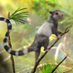 Image for article titled New Fossils Push Back The Origin Of Mammals By Millions Of Years